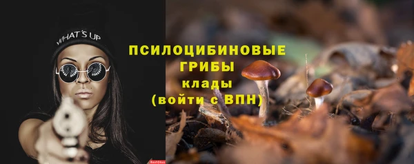гидра Алексин