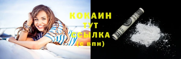 твердый Абаза