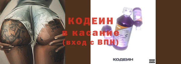 твердый Абаза