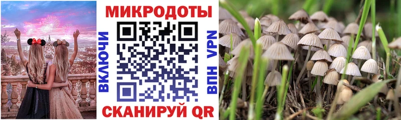 Псилоцибиновые грибы GOLDEN TEACHER  закладка  Новоалександровск 